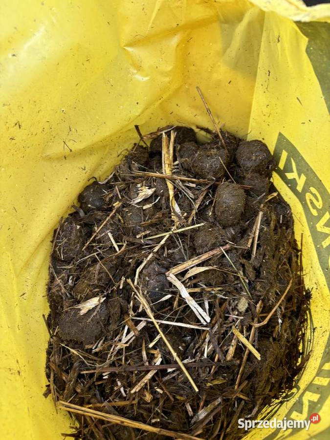 100 naturalny obornik koński workowany 50l