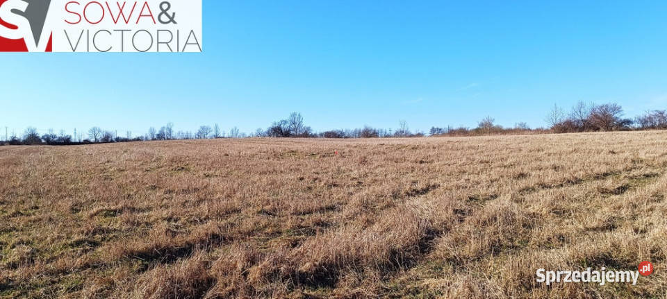 Słoneczna działka budowlana w Szczawnie Zdroju dolnośląskie