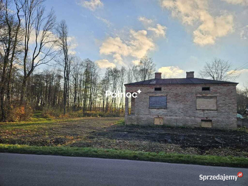 Działka rolnobudowlana z potencjałem w Nieruchomości Chotyłów