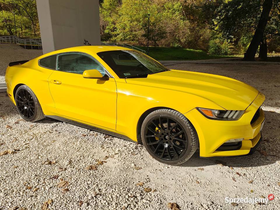 Ford mustang 37 Mustang