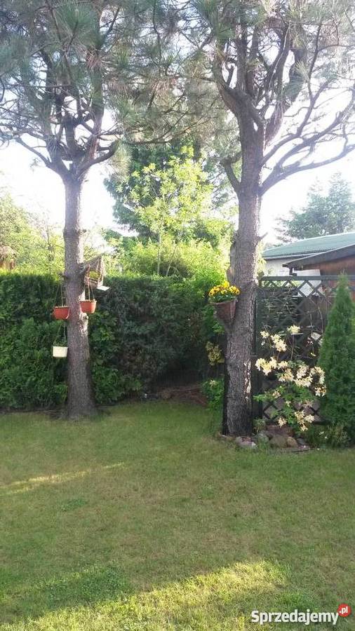 Działka z domkiem ROD Komorów kPruszkowa siatka mazowieckie Komorów