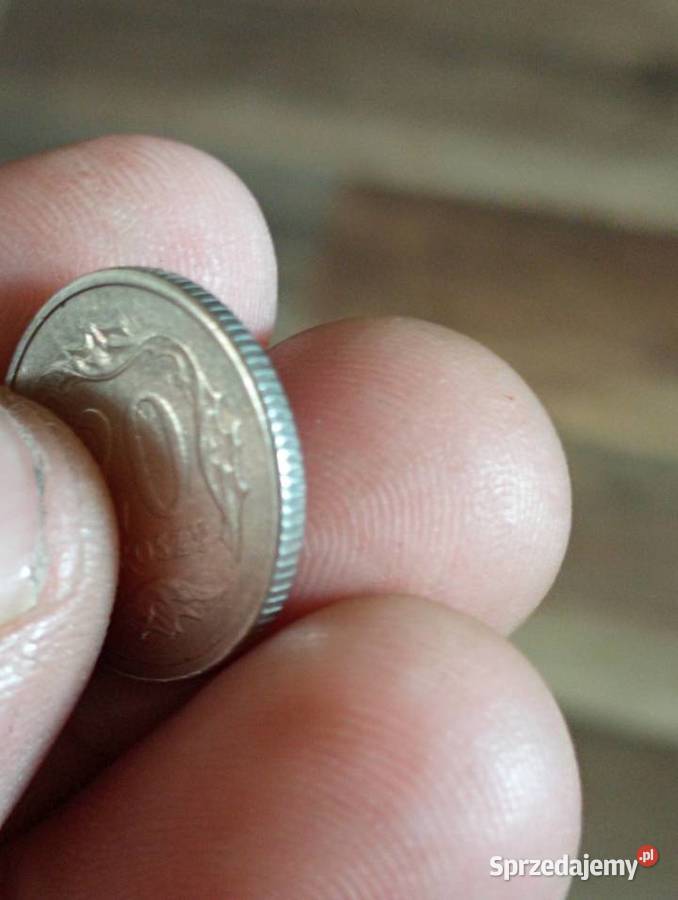 Sprzedam 20 groszy 2005 Chełm sprzedam