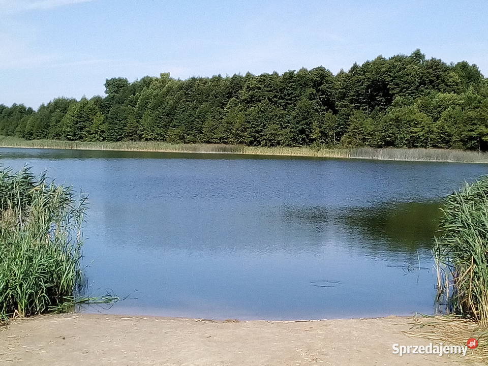 Piękna działka rolnobudowlana 3300m jeziorem Kikół