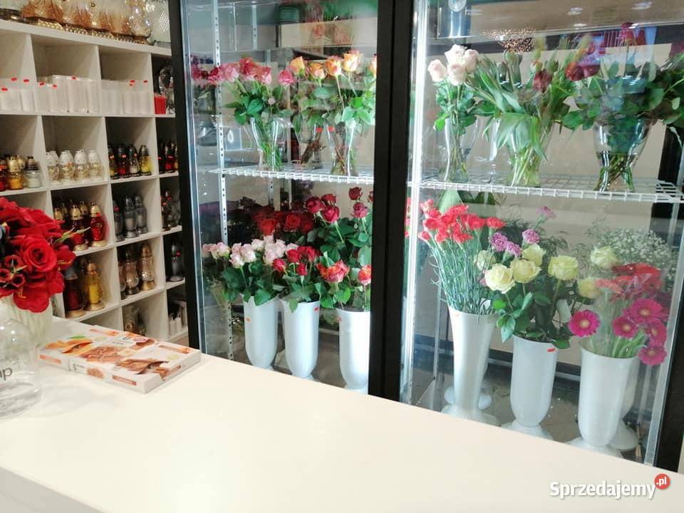 Szafa chłodnicza RAPA SCh2SR1600 2N Tarnowskie Góry