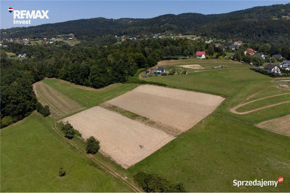 Prywatny las 3331 m2 Twoja przestrzeń w naturze Młynne