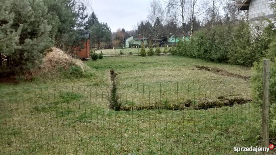 Działka ROD Sierosław II 15 Poznania 65zł/m2 Sierosław