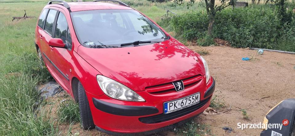 Peugeot 307 Rok produkcji 2004 wielkopolskie Pawłów