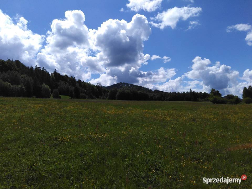 Działka z decyzją o war zabudowy Czarnej Góry Idzików sprzedam