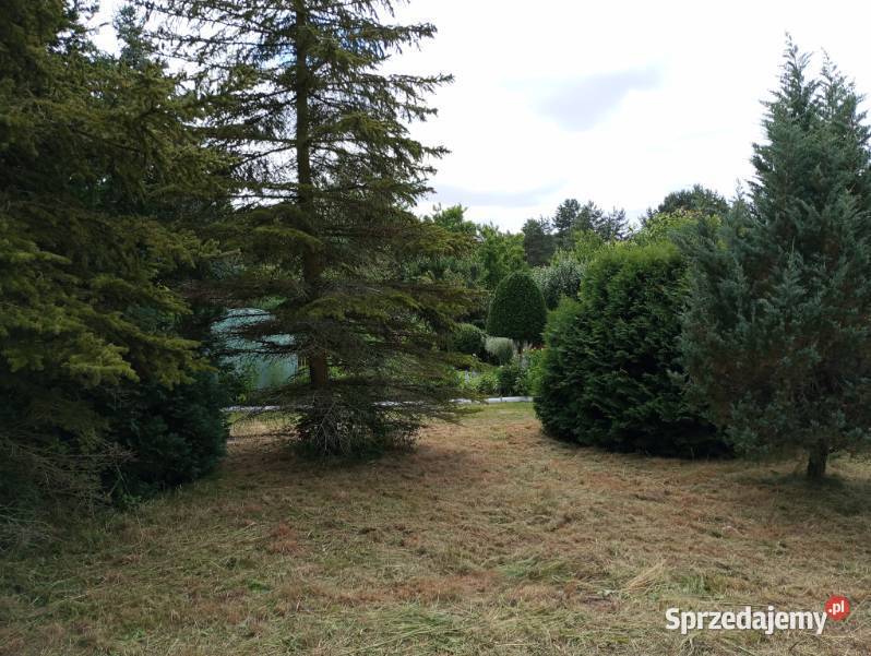 Sprzedam Działkę ROD 440m2 Starogard Gdański