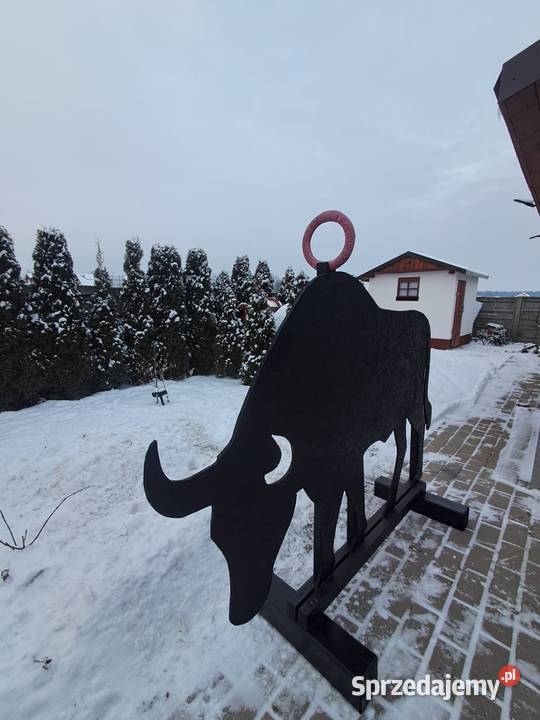 Byk przeszkody horse agility