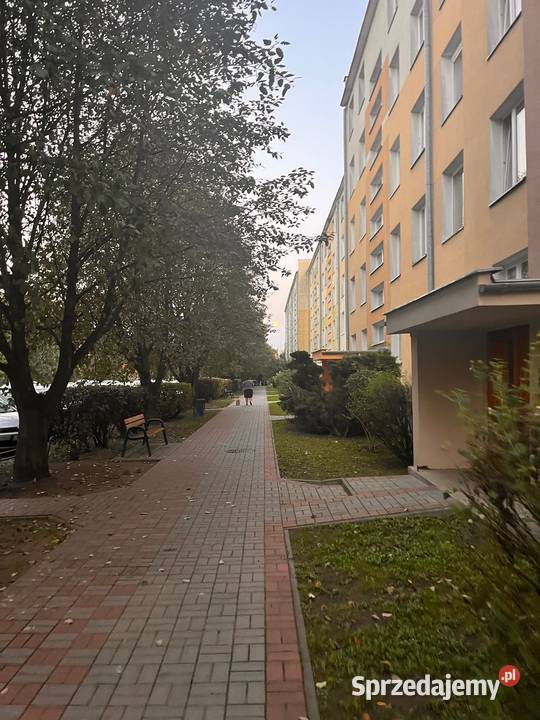 Słoneczne 3 pokoje 596 m Bez pośredników Krasnystaw