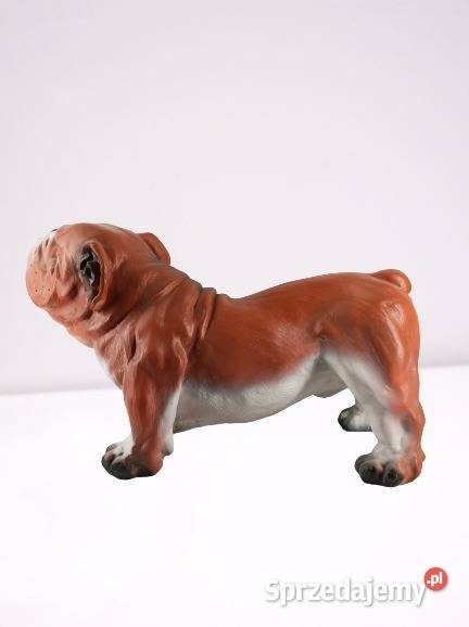 Figura Dekoracja Buldog Prawdziwy Duży Wrocław