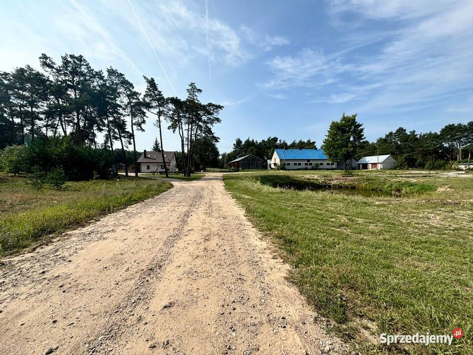 Działka leśna z polaną 08523 ha Poniatowo mazowieckie