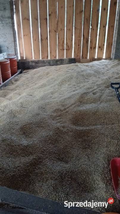 Sprzedam Winne-Podbukowina