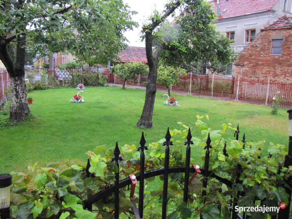 Dom w Grębocicach Okazja 3042zł/m2 Grębocice sprzedam