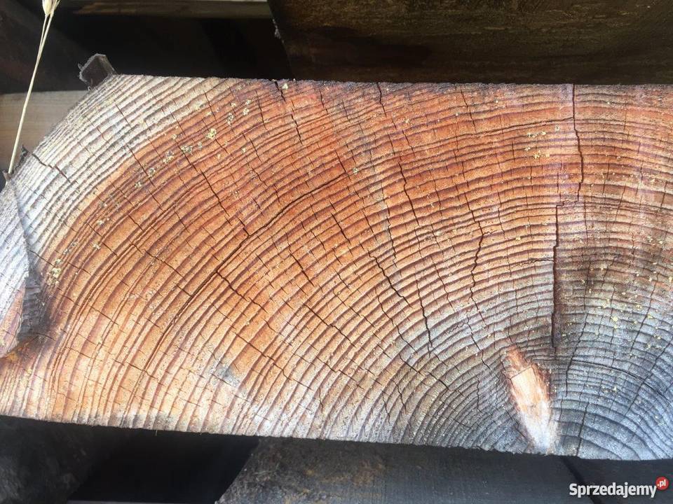 Bale modrzewiowe idealne na dom sprzedam