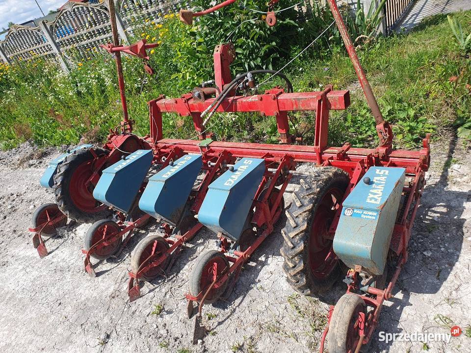Siewnik do kukurydzy buraków RAU Chełm sprzedam