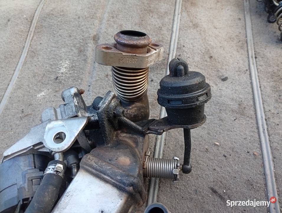 Chłodnica EGR BMW E87 N47D20C 20D osobowe sprzedam