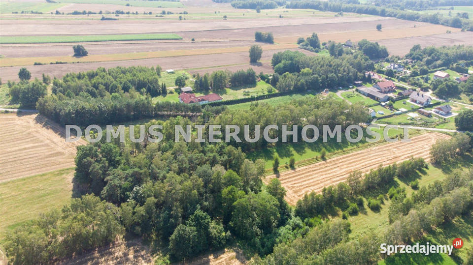 Grunt 3561m2 Jaroszki Sprzedaż łódzkie