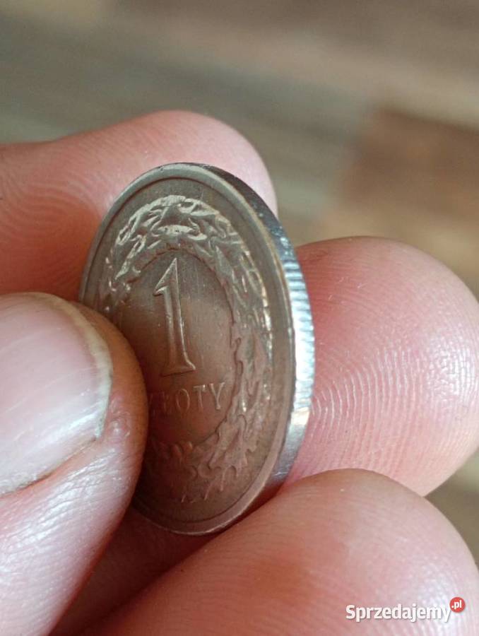 Sprzedam 1 zloty 1991 Chełm
