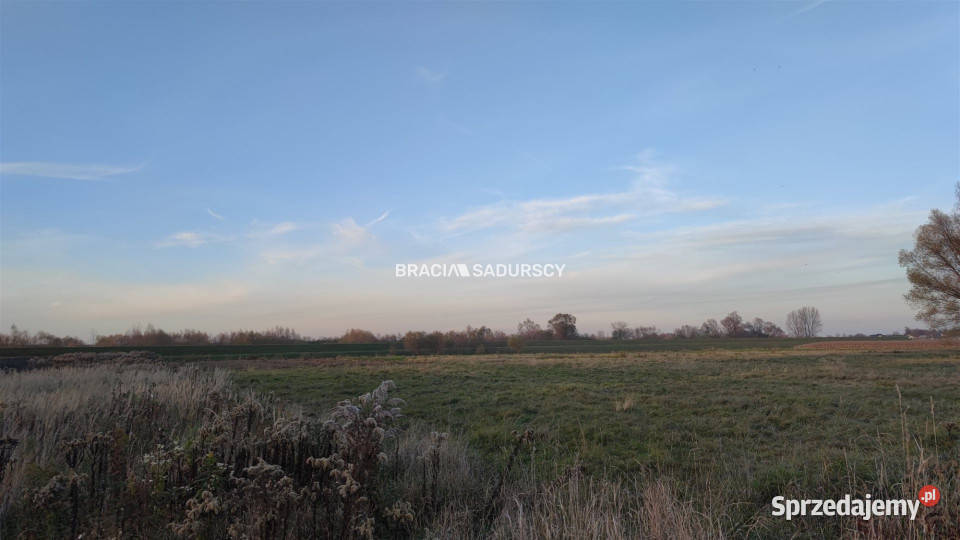 Grunt 1900m2 Majkowice