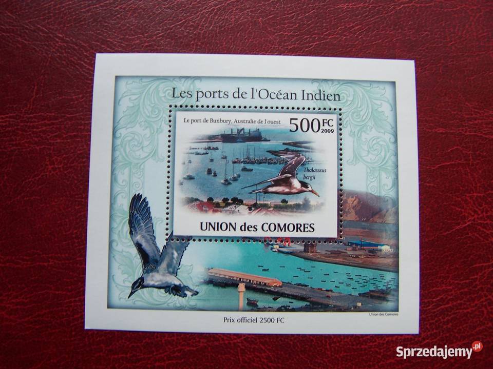 Komory 2009 MNH Fauna Ptaki Morskie Tychy