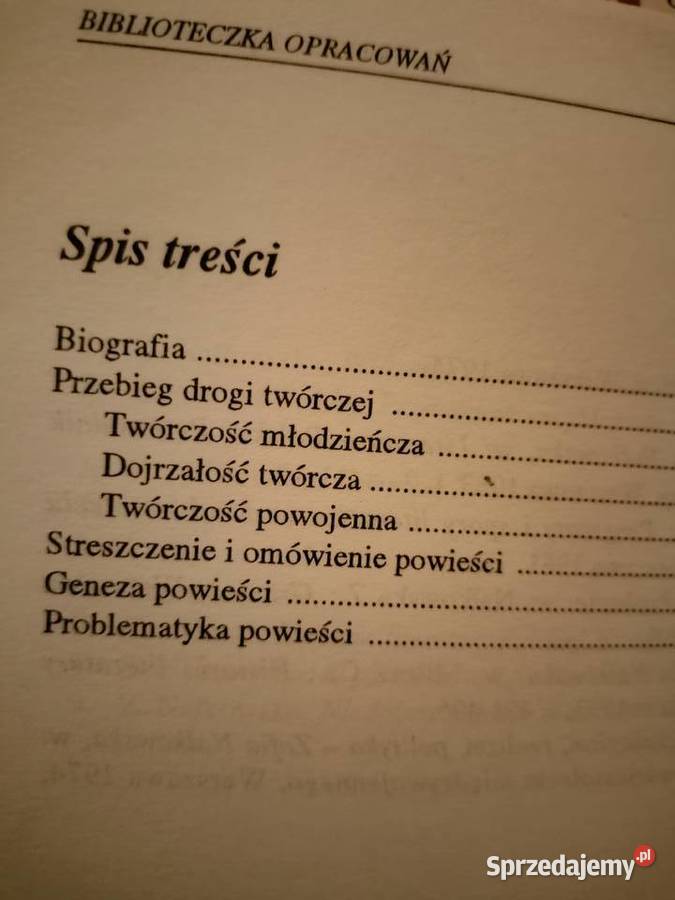 Granicą Nałkowskiej biblioteka analiz literatury