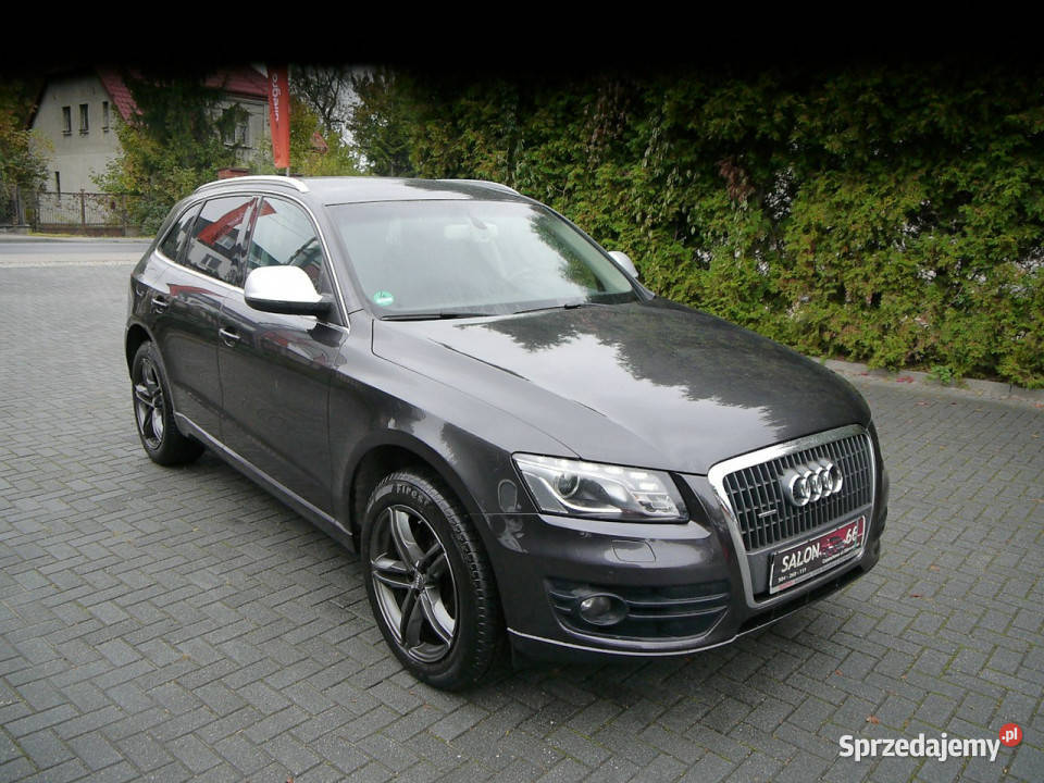 Audi Q5 20tdi Sline Stan b 100bezwypadkowy z Zarejestrowany w Polsce Motoryzacja Częstochowa