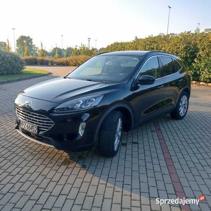 Ford Escape 20 242 AWD TITANIUM Przeworsk sprzedam