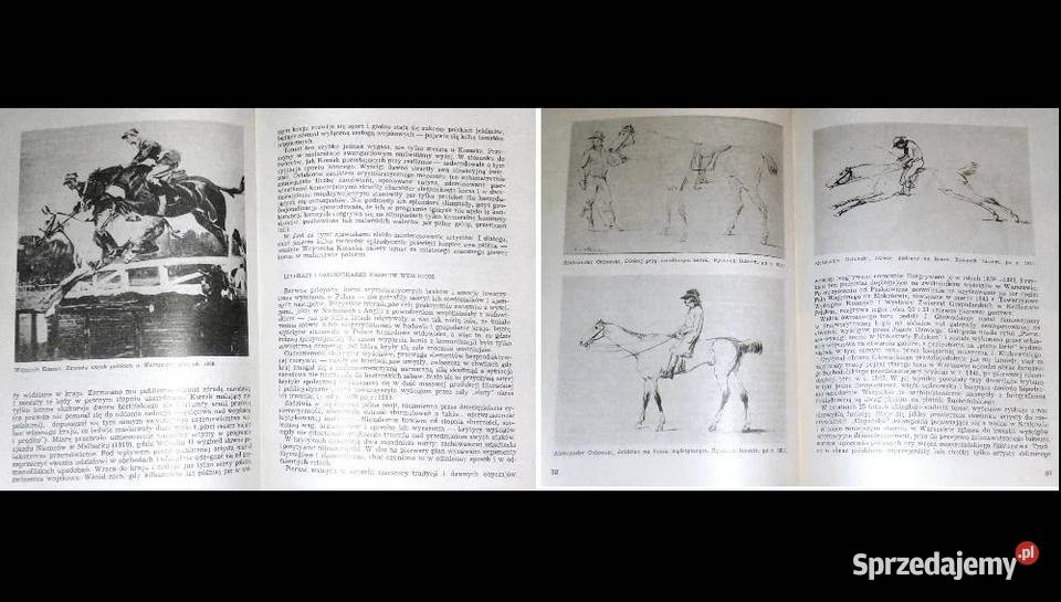 Sport literatura sztuka Wojciech Lipoński lubelskie