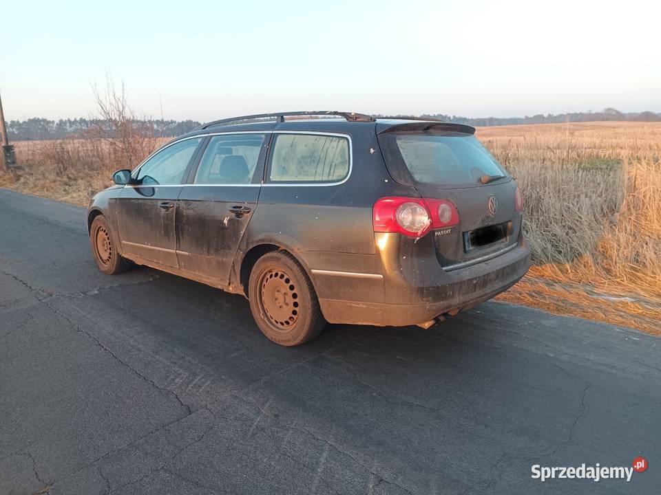 Tani wół roboczy Tarnawa Rzepińska