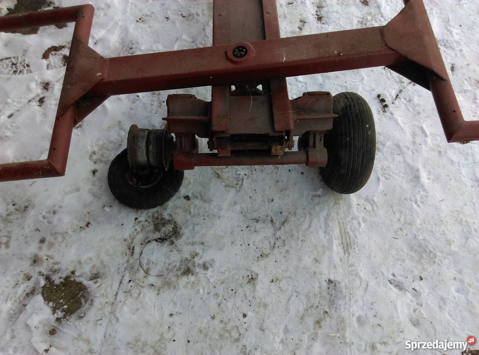 Motyleklaweta Sprzedażzamiana Sieraków