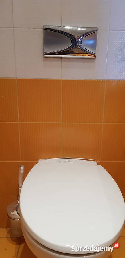 Serwis spłuczek w zabudowie Geberit Koło