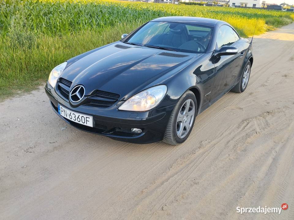 Mercedes r171 wielkopolskie