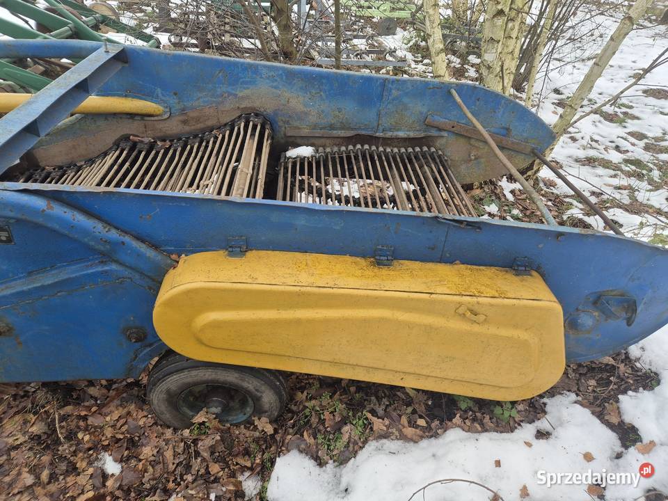 Kopaczka elewatorowa dwurzędowa do ziemniaków Bucze