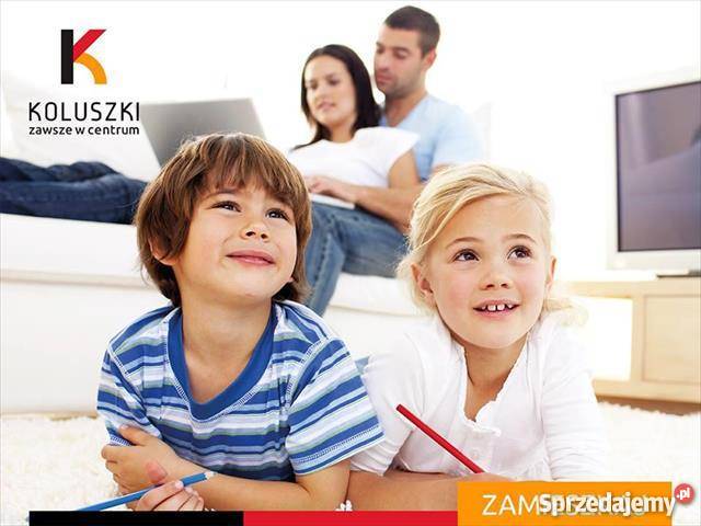 dom wolnostojący 110m2 Koluszki Koluszki