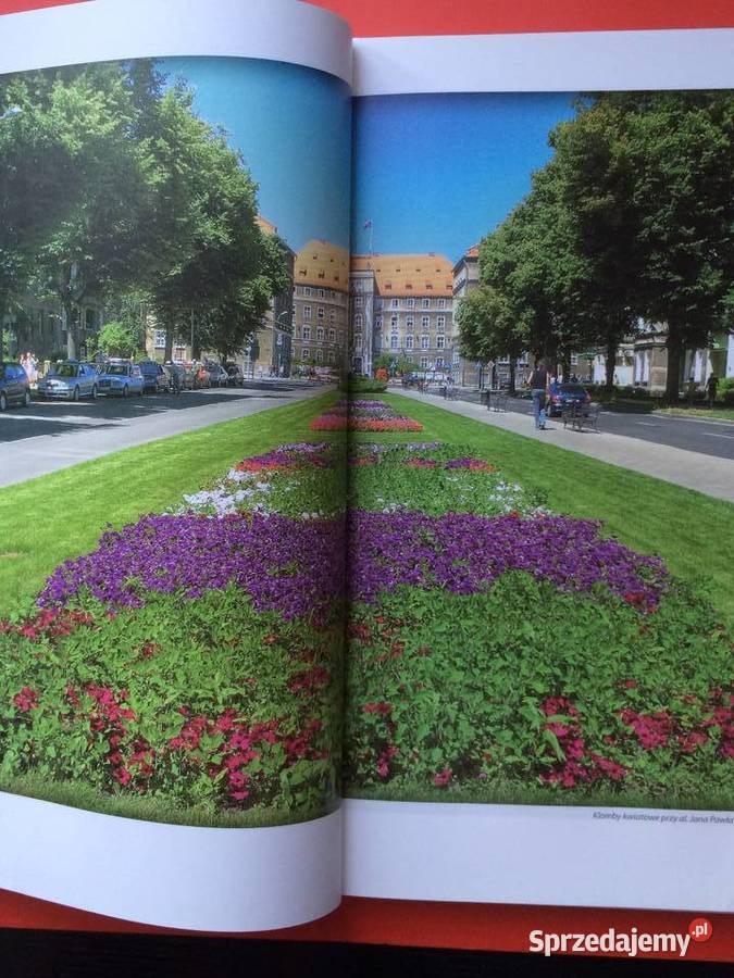 2221 Szczecin W Kwiatach Antyki, Sztuka, Kolekcje sprzedam