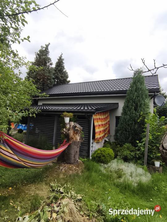 Działka Rod GRZYBIANY dolnośląskie Legnica