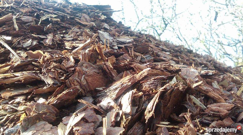 KORA sosnowa ZIEMIA ogrodowa TORF Łódź Łódź