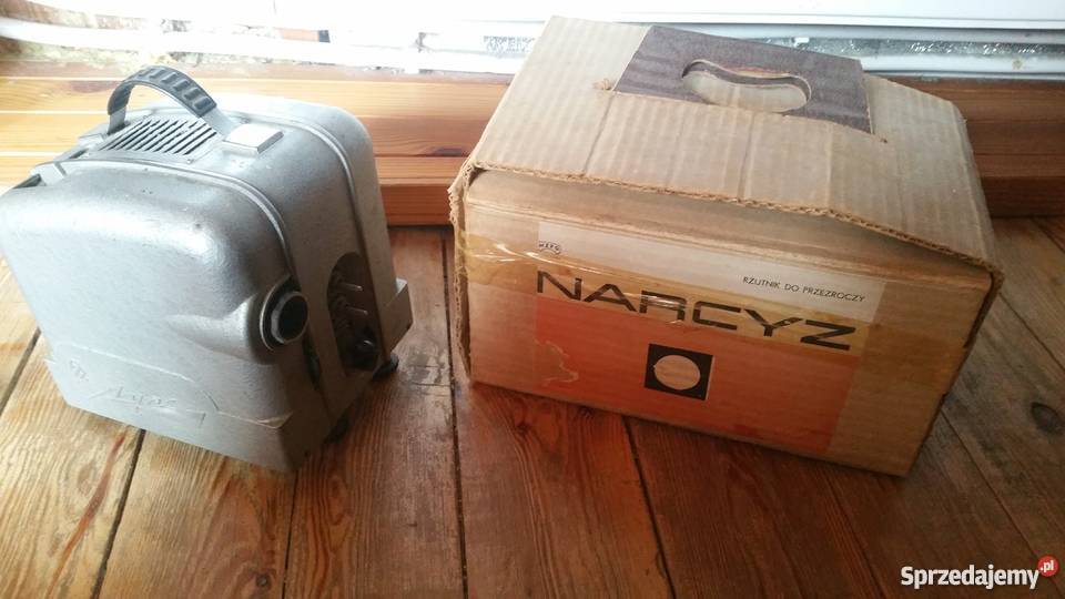 2 x Rzutnik Ruski plus Narcyz polski mazowieckie Raszyn