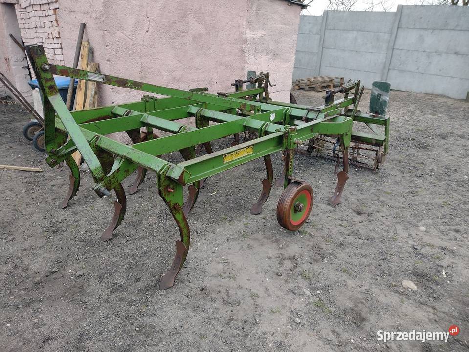 Gruber 11 łap Wilczyn