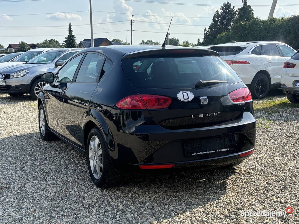 Seat Leon Paniówki