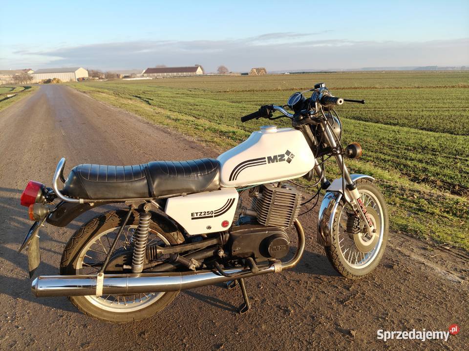 MZ ETZ 250 1988 z dokumentami do rejestracji Nowe Skalmierzyce sprzedam