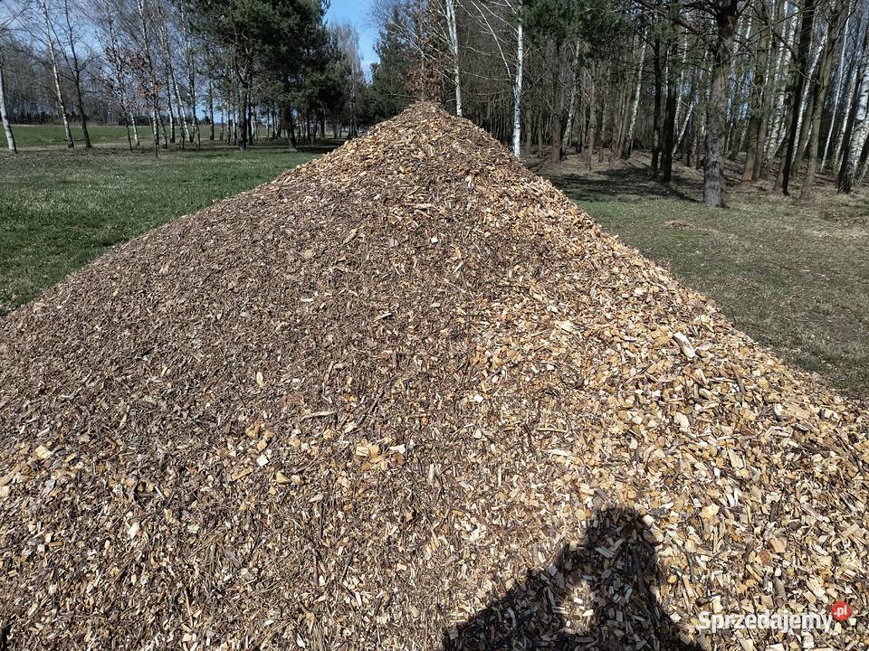 Zrębki z rębaka Pozostałe mazowieckie Klwatka Królewska