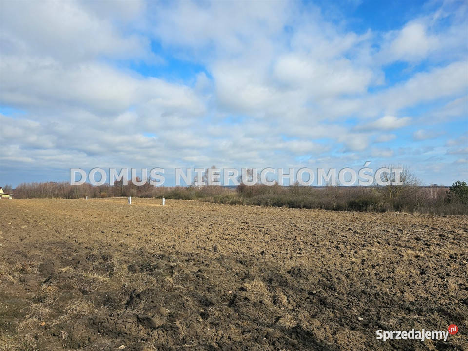 Grunt 1500m2 Rozworzyn gaz sprzedam