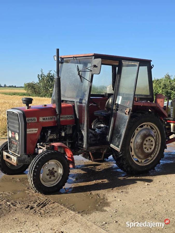 Massey Ferguson FM255 Owczary
