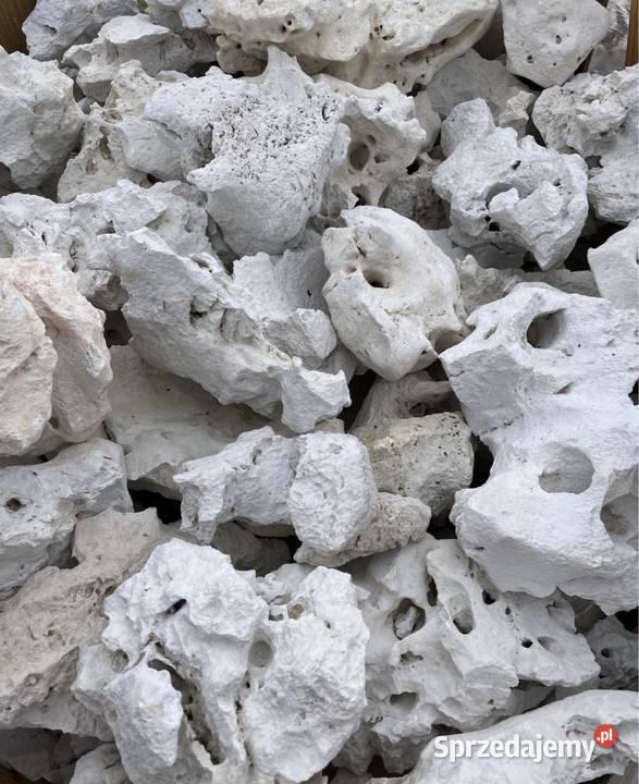 WAPIEŃ FILIPIŃSKI Biała Skała do Akwarium Malawi Warszawa