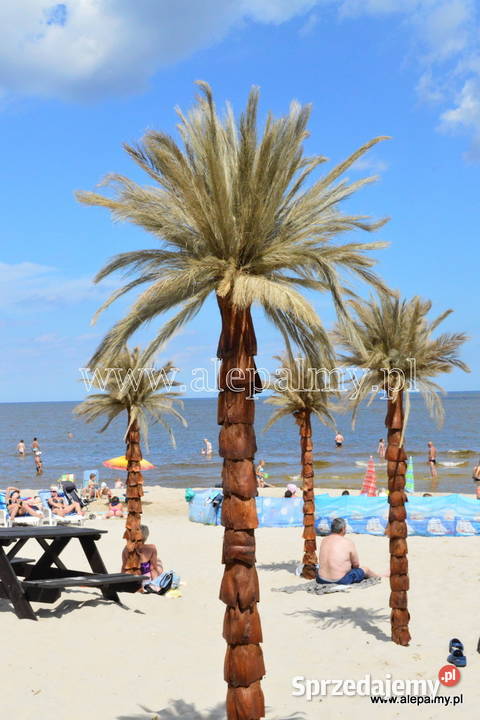 Palma sztuczna Sztuczne drzewka 25m Wąbrzeźno sprzedam