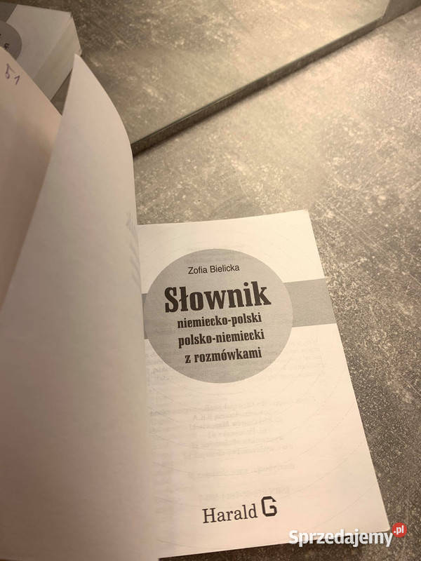 Słownik niemieckopolski polskoniemiecki z