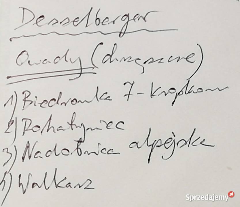 Owady drapieżne Desselberger małopolskie Kraków
